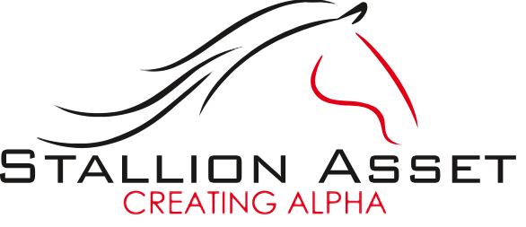 Stallion Asset